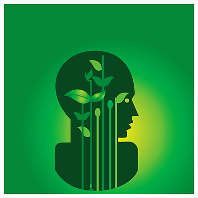 포토 JPG 해외이미지 나무 식물 아이콘 꽃 화분 곤충 과일 자연 씨앗 사람없음 물 픽토그램 태양 정원 수레 물뿌리개 도구 벌레 모종삽 심볼 원예 무당벌레 묘목 해외202004 해외포토 자연요소 동물 취미 카트 삽 생태계 파일형식 이미지허브