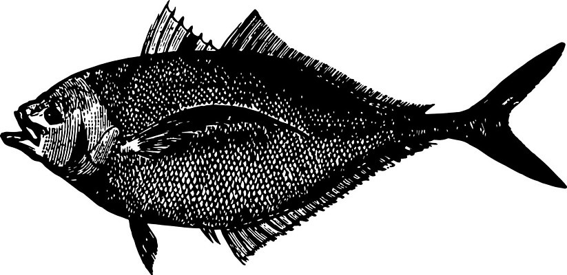 EPS 해외이미지 일러스트 미술 사람없음 검은색 흰색 스케치 그림 판화 범퍼 해외202004 해외일러스트 컬러 문화예술 파일형식 벡터 이미지허브