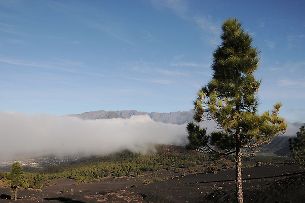 포토 JPG 해외이미지 구름 섬 여행 백그라운드 자연 하늘 날씨 산 풍경 사람없음 파란색 검은색 놀람 안개 흰색 스페인 정상 화산 넘어짐 스페인어 절정 해외202004 해외포토 자연요소 감정 유럽 컬러 모션 표정 생태계 파일형식 이미지허브