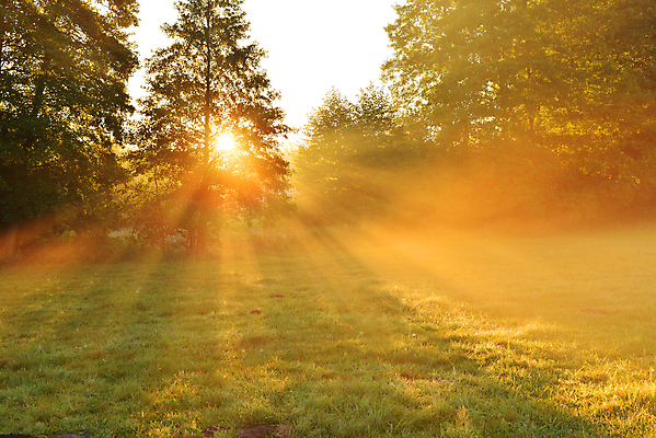 포토 JPG 해외이미지 나무 계절 공원 도로 길 모래 여행 백그라운드 잎 자연 하늘 아침 풍경 사람없음 야외 목재 초록색 여름 파란색 빛 햇빛 태양 일출 환경 맑음 어둠 봄 새벽 안개 광선 가을 나뭇가지 소나무 야간 숲 장면 내추럴 해외202004 해외포토 주간 자연요소 식물 공공시설 컬러 재료 교통시설 날씨 노을 생태계 파일형식 이미지허브
