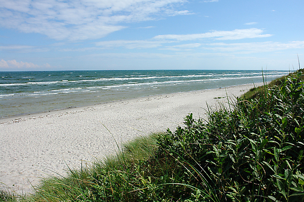 포토 JPG 해외이미지 유럽 모래 파도 바다 자연 하늘 바람 휴식 덴마크 풍경 사람없음 야외 초록색 물 여름 파란색 환경 맑음 산책 거품 거친 황무지 모래언덕 소금 북쪽 대서양 내추럴 서쪽 스칸디나비아 해외202004 해외포토 자연요소 계절 나라 컬러 컨셉 날씨 북유럽 방향 언덕 생태계 파일형식 이미지허브