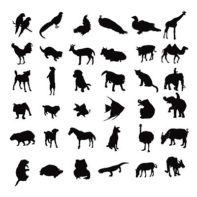 EPS 해외이미지 동물 실루엣 야생동물 일러스트 포유류 파충류 아프리카 자연 조류 사슴 코끼리 동물원 세트 농장 검은색 고양이 소 개 스케치 수집 기린 사파리 그림 타조 동물상 해외202004 해외일러스트 나라 컬러 농업 촬영기법 미술 반려동물 조형물 생태계 파일형식 벡터 이미지허브