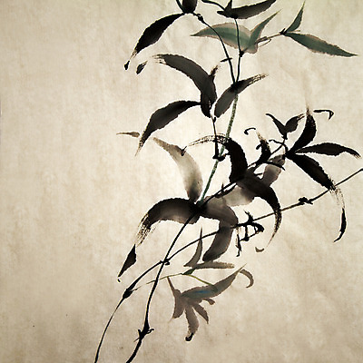 JPG 해외이미지 일러스트 붓터치 미술 사람없음 먹 대나무 동양화 그림 번짐 해외202004 해외일러스트 나무 서예 문화예술 파일형식 효과 이미지허브