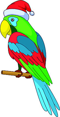 EPS 해외이미지 동물 1 디자인 야생동물 백그라운드 무지개 크리스마스 날개 일러스트 자연 조류 추상 휴가 새해 동물원 미술 앉기 빨간색 세로 초록색 파란색 반려동물 장난감 산타클로스 흰색 12월 만화 깃털 싱글 꼬리 부리 앵무새 새장 내추럴 고립 노엘 잉꼬 캡모자 클라우스 해외202004 해외일러스트 자연요소 모자_잡화 기념일 컬러 무늬 모션 문화예술 날짜 생태계 케이지 파일형식 벡터 이미지허브