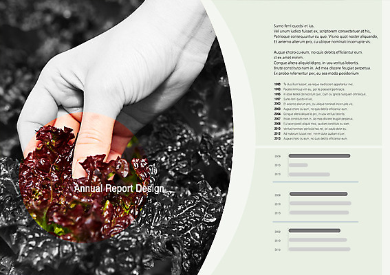 PSD 템플릿 편집 표지디자인 북디자인 손 웰빙 출판디자인 내지 음식 백그라운드 채소 북커버 그래프 한명 팜플렛 신체부위 상추 보고서 이미지템플릿 1 사람 파일형식