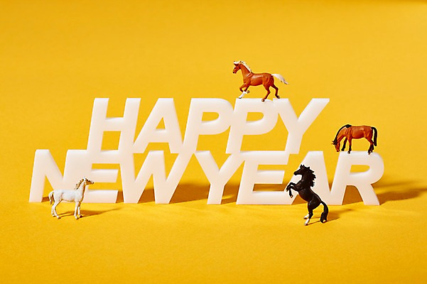 포토 JPG 스튜디오촬영 동물 문자 알파벳 영어 백그라운드 대문자 새해 실내 사람없음 단어 새해인사 말_동물 오브젝트 해피뉴이어 국내포토 포유류 내부 인사 파일형식