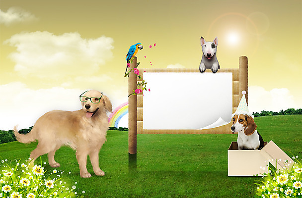 PSD 식물 동물 구름 편집이미지 척추동물 모자 육지동물 꽃 안경 무지개 포유류 조류 함께함 세마리 잔디 사람없음 반려동물 상자 소풍 귀여움 개 리트리버 강아지 비글 불테리어 반려 안경낌 이미지편집 자연요소 잡화 컨셉 3 야외활동 테리어 파일형식