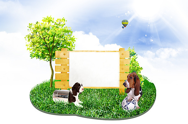 PSD 나무 식물 동물 편집이미지 척추동물 육지동물 공원 두마리 축구공 공 포유류 프레임 함께함 잔디 사람없음 반려동물 운동 햇빛 태양 귀여움 축구 열기구 개 강아지 공놀이 바셋하운드 반려 이미지편집 자연요소 공공시설 컨셉 2 축구용품 항공교통 놀이 건강 구기 하운드 파일형식