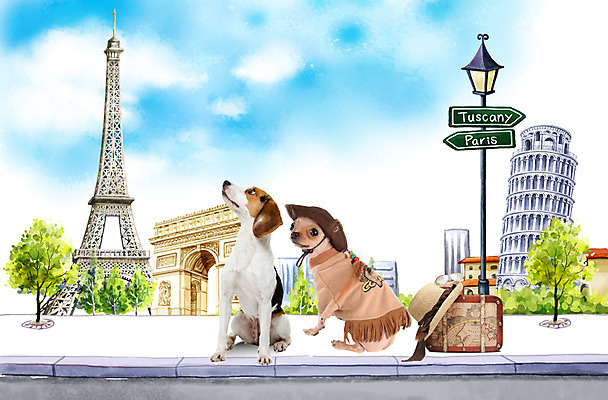 PSD 식물 동물 구름 편집이미지 척추동물 모자 육지동물 건축물 유럽 여행 두마리 가로등 포유류 거리 함께함 빌딩 사람없음 건물 반려동물 귀여움 캐리어 여행가방 표지판 개 강아지 에펠탑 피사의사탑 비글 개선문 파리 치와와 유럽여행 반려 투스카니 이미지편집 자연요소 잡화 공공시설 건축 나라 해외여행 컨셉 2 가방 알림판 이탈리아 세계문화유산 랜드마크 파일형식