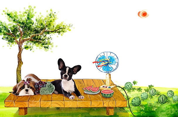 주간 PSD 나무 식물 동물 편집이미지 척추동물 육지동물 리본 두마리 밭 과일 포유류 포도 나뭇잎 여름음식 수박 함께함 사람없음 여름 여름휴가 바캉스 반려동물 태양 귀여움 선풍기 개 강아지 평상 반려 수박밭 제철음식 제철과일 이미지편집 자연요소 계절 음식 컨셉 잎 2 농업 휴가 가전제품 제철 파일형식 여름_계절