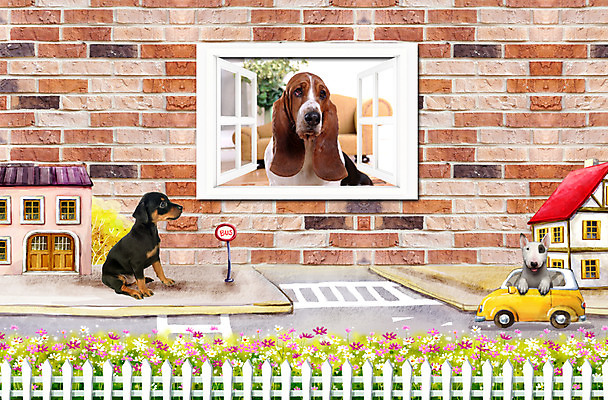 PSD 나무 식물 동물 편집이미지 척추동물 육지동물 꽃 꽃밭 창문 포유류 자동차 벽돌 버스 대중교통 주택 함께함 세마리 사람없음 건물 울타리 반려동물 귀여움 드라이브 횡단보도 개 차 버스정류장 강아지 닥스훈트 바셋하운드 불테리어 반려 이미지편집 건축물 음료 육상교통 교통수단 컨셉 3 담장 운전 보행로 역 테리어 하운드 파일형식