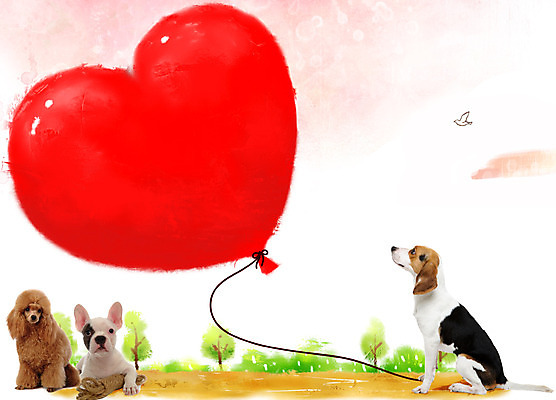 PSD 나무 식물 동물 편집이미지 척추동물 육지동물 말풍선 포유류 조류 프레임 함께함 세마리 사람없음 반려동물 귀여움 하트 개 강아지 푸들 비글 하트풍선 풍선 불독 반려 이미지편집 모양 컨셉 3 파일형식