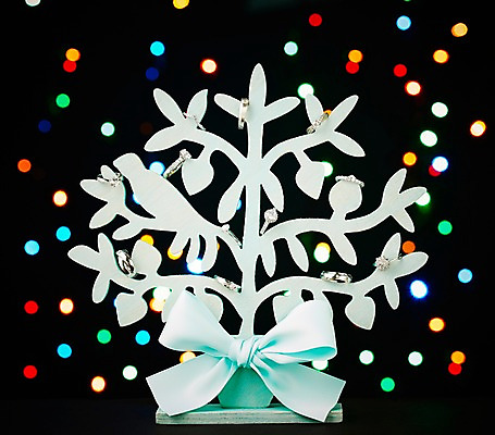 포토 JPG 스튜디오촬영 나무 리본 화분 결혼 장신구 조명 실내 선물 근접촬영 사람없음 아웃포커스 빛 반지 보석 오브젝트 예물 결혼반지 커플반지 결혼소품 국내포토 식물 뷰포인트 촬영기법 이벤트 내부 광석 파일형식