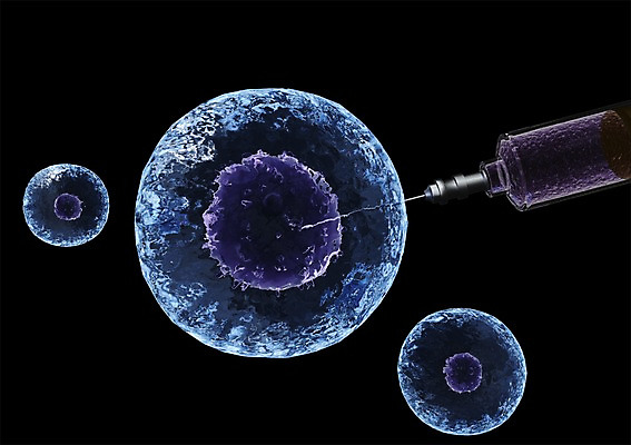 PSD 편집이미지 백그라운드 의학 생명 검은배경 세포 현미경 주사기 사람없음 라이프 컴퓨터그래픽 그래픽 치료 약 3D소스 3D 바늘 원형 생명공학 입체 핵 편집소스 편집3D 도형 의료기기 실험기구 생활 검은색 도구 디지털합성 파일형식