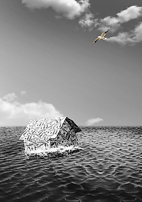 PSD 동물 구름 편집이미지 바다 지폐 돈 갈매기 조류 하늘 부동산 주택 사람없음 물 금융 하락 침몰 이미지편집 자연요소 컨셉 건물 경제 재산 파일형식