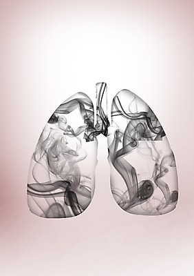 PSD 편집이미지 신체 흡연 담배 사람없음 신체부위 검은색 허파 호흡기관 기관지 연기 호흡 장기 이미지편집 컬러 사람 장기_의학 파일형식