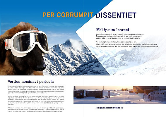 PSD 동물 구름 템플릿 편집 한마리 표지디자인 북디자인 출판디자인 계절 내지 반려견 백그라운드 겨울 북커버 하늘 레저 고글 산 팜플렛 사람없음 눈 개 강아지 반려 이미지템플릿 자연요소 1 포유류 날씨 반려동물 파일형식