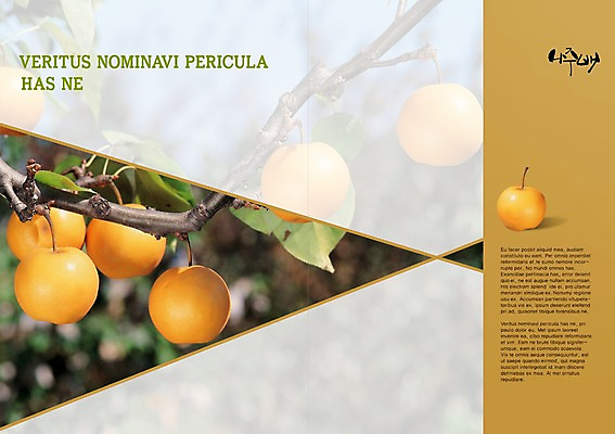 PSD 나무 식물 템플릿 편집 한국문화 한국전통 전통 표지디자인 북디자인 출판디자인 명절 열매 내지 음식 백그라운드 북커버 과일 새해 팜플렛 사람없음 설날 나뭇가지 배 특산물 나주배 이미지템플릿 동양문화 기념일 한국 배_과일 파일형식