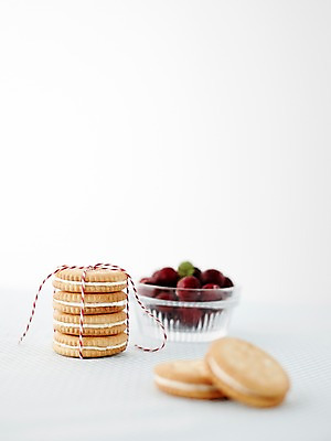 포토 JPG 스튜디오촬영 그릇 식기 과일 디저트 실내 근접촬영 사람없음 아웃포커스 과자 끈 달콤 묶기 샌드 크랜베리 국내포토 열매 음식 뷰포인트 모션 촬영기법 내부 맛 파일형식