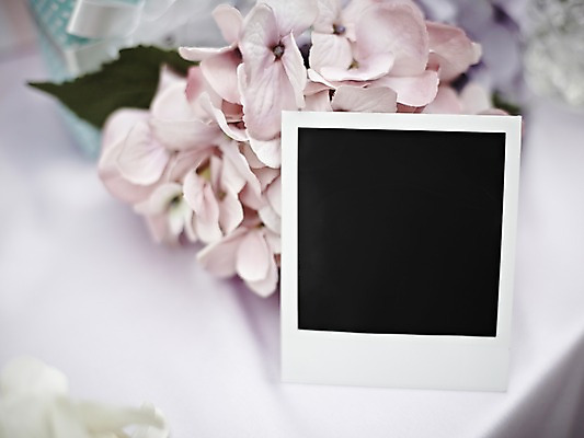 포토 JPG 스튜디오촬영 식물 꽃 생활용품 백그라운드 탁자 프레임 실내 틀 근접촬영 사람없음 아웃포커스 공백 필름 오브젝트 폴라로이드 폴라로이드사진 사진필름 국내포토 뷰포인트 가구 촬영기법 내부 카메라 파일형식