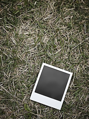 포토 JPG 스튜디오촬영 식물 생활용품 백그라운드 프레임 실내 틀 근접촬영 잔디 사람없음 공백 풀 필름 오브젝트 폴라로이드 폴라로이드사진 사진필름 국내포토 뷰포인트 내부 카메라 파일형식