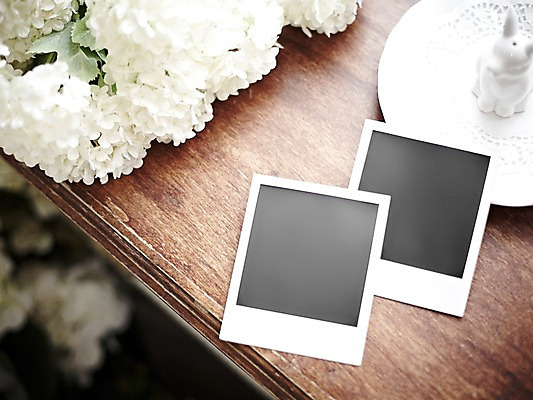 포토 JPG 스튜디오촬영 식물 꽃 생활용품 백그라운드 탁자 프레임 실내 틀 근접촬영 사람없음 아웃포커스 공백 필름 오브젝트 폴라로이드 폴라로이드사진 사진필름 국내포토 뷰포인트 가구 촬영기법 내부 카메라 파일형식