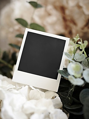 포토 JPG 스튜디오촬영 식물 꽃 생활용품 백그라운드 프레임 실내 틀 근접촬영 사람없음 아웃포커스 공백 필름 오브젝트 폴라로이드 폴라로이드사진 사진필름 국내포토 뷰포인트 촬영기법 내부 카메라 파일형식