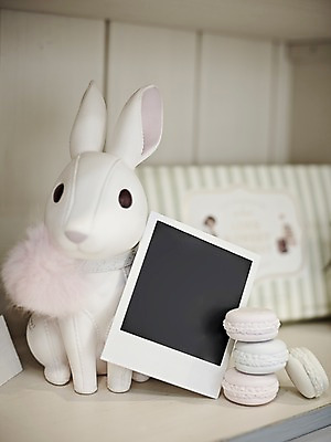 포토 JPG 스튜디오촬영 빵 인형 생활용품 백그라운드 탁자 프레임 실내 틀 근접촬영 사람없음 아웃포커스 장난감 공백 토끼 필름 오브젝트 폴라로이드 폴라로이드사진 사진필름 마카롱 반려 국내포토 음식 뷰포인트 가구 포유류 디저트 촬영기법 내부 반려동물 카메라 파일형식