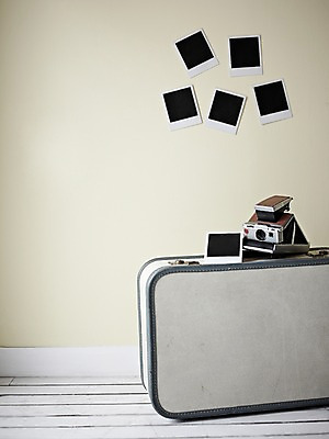 포토 JPG 스튜디오촬영 생활용품 백그라운드 가방 프레임 실내 틀 근접촬영 사람없음 카메라 공백 필름 오브젝트 폴라로이드 폴라로이드사진 사진필름 국내포토 잡화 뷰포인트 내부 전자제품 파일형식