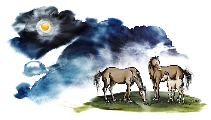 PSD 동물 캘리배경 백그라운드 일러스트 캘리그라피 근하신년 새해 수묵화 초원 사람없음 달 십이지신 말_동물 동양화 말띠 2014년 손그림 갑오년 망아지 보름당 국내일러스트 자연요소 새끼 포유류 미술 연도 파일형식