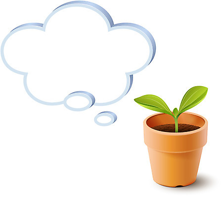 식물 아이콘 화분 말풍선 안내 프레임 입체아이콘 디테일아이콘 사람없음 새싹 디지털 풀 알림 입체 오브젝트 디테일 2D아이콘 AI파일 파일형식 벡터