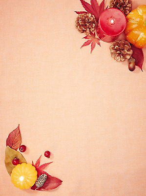 포토 JPG 스튜디오촬영 식물 열매 백그라운드 단풍 잎 초 촛불 나뭇잎 실내 이벤트 근접촬영 사람없음 장식 오브젝트 도토리 솔방울 국내포토 뷰포인트 내부 견과류 파일형식