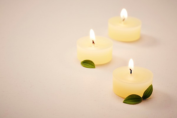 포토 JPG 스튜디오촬영 식물 백그라운드 초 촛불 실내 이벤트 근접촬영 사람없음 아웃포커스 장식 풀 오브젝트 국내포토 뷰포인트 촬영기법 내부 파일형식