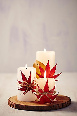 포토 JPG 스튜디오촬영 식물 리본 백그라운드 단풍 잎 초 촛불 나뭇잎 실내 이벤트 근접촬영 사람없음 아웃포커스 장식 끈 오브젝트 나무토막 국내포토 뷰포인트 촬영기법 내부 파일형식