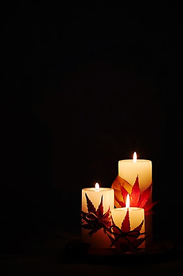 포토 JPG 스튜디오촬영 식물 리본 백그라운드 단풍 잎 초 촛불 나뭇잎 실내 이벤트 근접촬영 사람없음 장식 끈 오브젝트 국내포토 뷰포인트 내부 파일형식