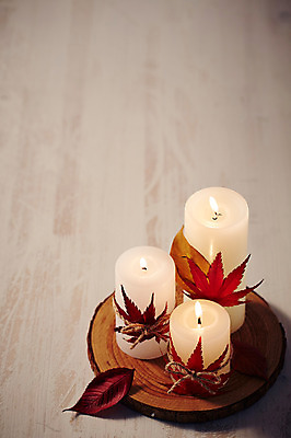 포토 JPG 스튜디오촬영 식물 리본 백그라운드 단풍 잎 초 촛불 나뭇잎 실내 이벤트 근접촬영 사람없음 장식 끈 오브젝트 나무토막 국내포토 뷰포인트 내부 파일형식