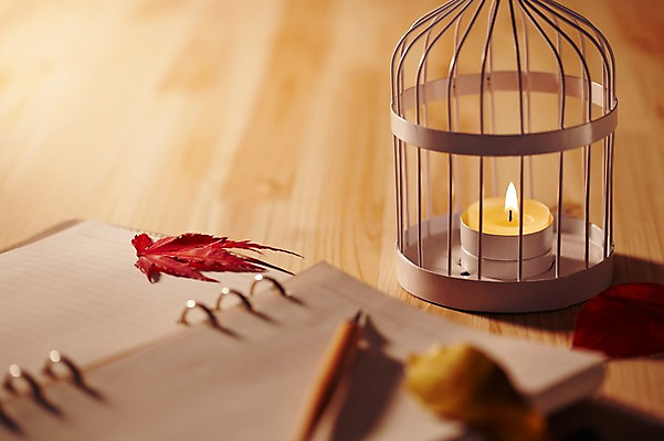 포토 JPG 스튜디오촬영 식물 백그라운드 단풍 잎 초 촛불 나뭇잎 실내 이벤트 근접촬영 사람없음 아웃포커스 장식 필기구 펜 다이어리 등불 오브젝트 국내포토 뷰포인트 문구용품 조명 촬영기법 내부 사무용품 파일형식