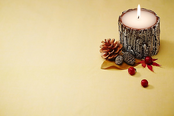 포토 JPG 스튜디오촬영 식물 열매 백그라운드 잎 초 촛불 실내 이벤트 근접촬영 사람없음 목재 장식 오브젝트 솔방울 국내포토 나무 뷰포인트 재료 내부 파일형식