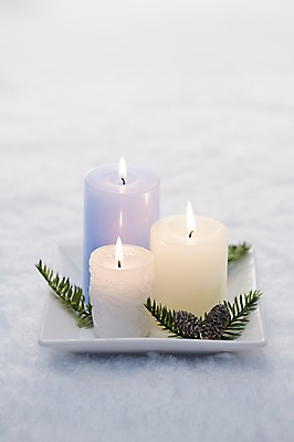 포토 JPG 스튜디오촬영 식물 접시 백그라운드 겨울 초 촛불 실내 이벤트 근접촬영 사람없음 아웃포커스 장식 눈 풀 오브젝트 솔방울 국내포토 자연요소 식기 계절 뷰포인트 날씨 촬영기법 내부 파일형식