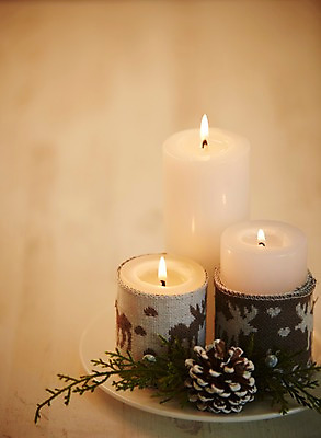 포토 JPG 스튜디오촬영 식물 접시 백그라운드 초 촛불 실내 이벤트 근접촬영 사람없음 아웃포커스 장식 풀 오브젝트 솔방울 국내포토 식기 뷰포인트 촬영기법 내부 파일형식