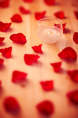 포토 JPG 스튜디오촬영 식물 꽃잎 백그라운드 잎 초 촛불 유리병 실내 이벤트 근접촬영 사람없음 아웃포커스 장식 장미 오브젝트 국내포토 꽃 뷰포인트 병_용기 촬영기법 내부 파일형식