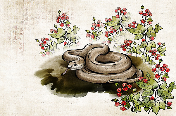 PSD 식물 동물 한마리 전통 열매 일러스트 수묵화 사람없음 십이지신 뱀띠 뱀 동양화 과거 국내일러스트 1 컨셉 파충류 미술 파일형식