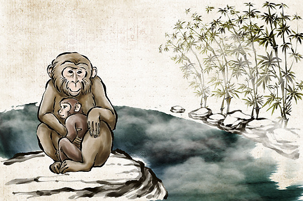 PSD 나무 식물 동물 전통 두마리 일러스트 수묵화 사람없음 물 온천 돌_바위 십이지신 원숭이띠 원숭이 대나무 동양화 과거 온천수 국내일러스트 자연요소 컨셉 2 포유류 미술 스파 파일형식