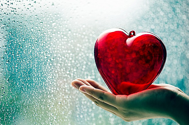 포토 JPG 모양 문양 손 배경화면 백그라운드 무늬 창문 한손 사랑 한명 들기 근접촬영 아웃포커스 신체부위 물방울 하트 국내포토 1 감정 뷰포인트 모션 촬영기법 사람 파일형식