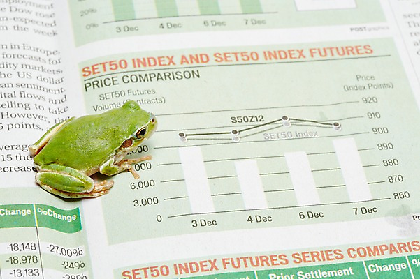 포토 JPG 스튜디오촬영 동물 한마리 육지동물 컬러 통계 수치 그래프 실내 개구리 양서류 근접촬영 사람없음 아웃포커스 초록색 금융 경제 주식 청개구리 주가 국내포토 1 뷰포인트 촬영기법 내부 파일형식