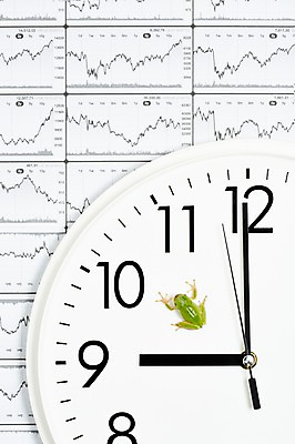 포토 JPG 스튜디오촬영 동물 한마리 육지동물 시계 컬러 통계 수치 그래프 실내 개구리 양서류 근접촬영 사람없음 초록색 금융 경제 시간 시곗바늘 주식 청개구리 주가 국내포토 1 뷰포인트 내부 파일형식