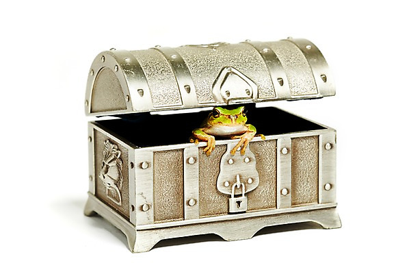 포토 JPG 스튜디오촬영 동물 한마리 육지동물 컬러 자물쇠 실내 개구리 양서류 누끼 근접촬영 사람없음 초록색 상자 청개구리 보물상자 국내포토 1 뷰포인트 내부 파일형식