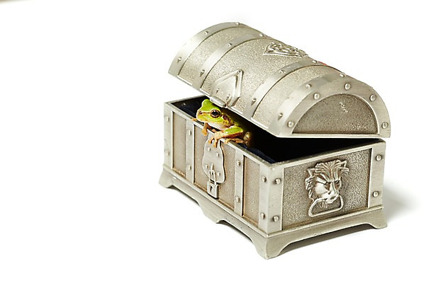 포토 JPG 스튜디오촬영 동물 한마리 육지동물 컬러 자물쇠 실내 개구리 양서류 누끼 근접촬영 사람없음 초록색 상자 청개구리 보물상자 국내포토 1 뷰포인트 내부 파일형식