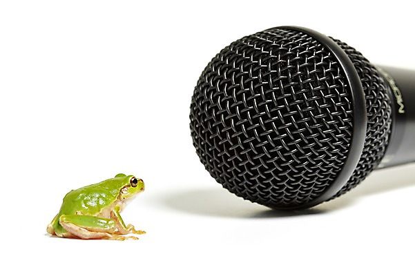 포토 JPG 스튜디오촬영 동물 한마리 육지동물 컬러 음향기기 실내 개구리 양서류 누끼 근접촬영 사람없음 초록색 마이크 청개구리 국내포토 1 뷰포인트 내부 전자제품 파일형식