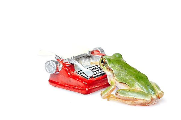 포토 JPG 스튜디오촬영 동물 한마리 육지동물 컬러 실내 개구리 양서류 누끼 근접촬영 사람없음 초록색 키보드 청개구리 타자기 국내포토 1 뷰포인트 내부 골동품 파일형식